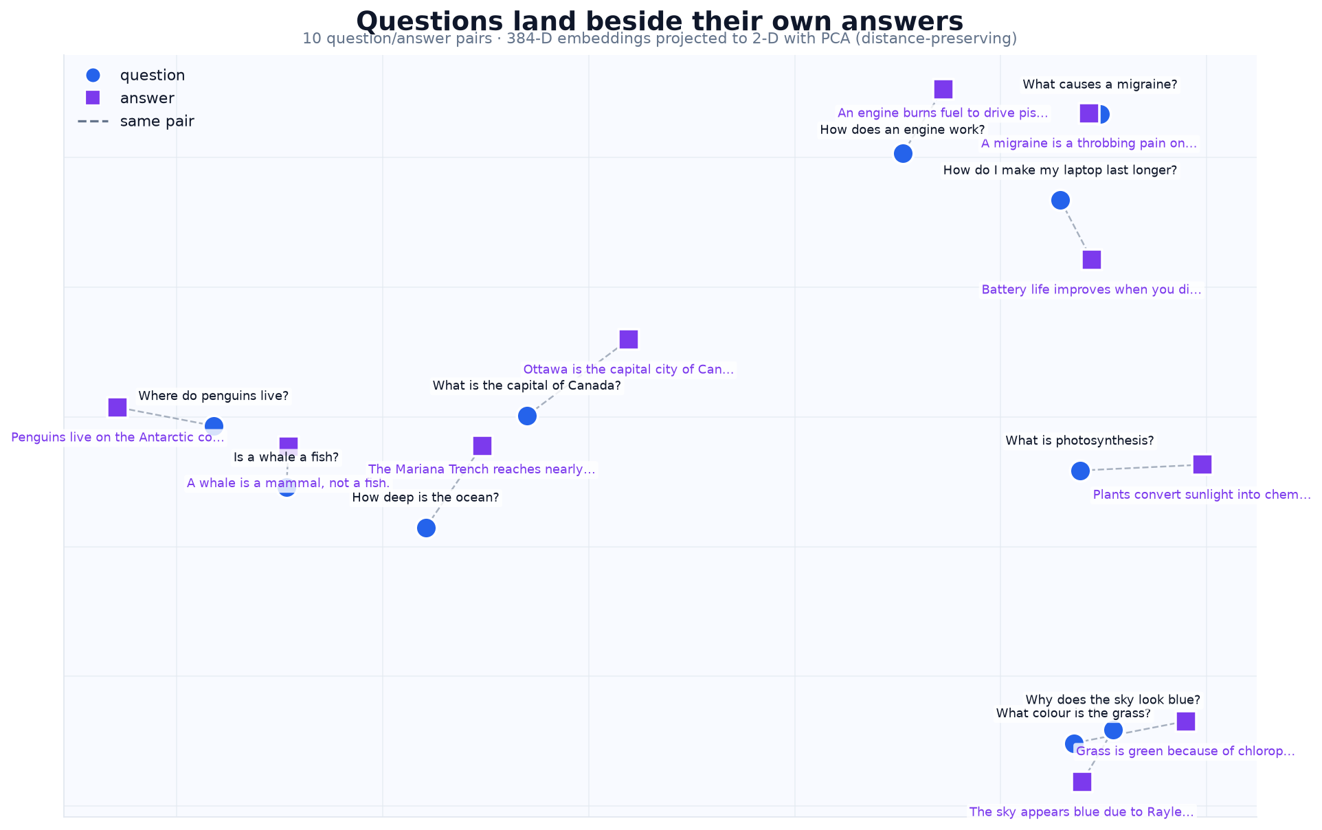 Questions land beside their own answers