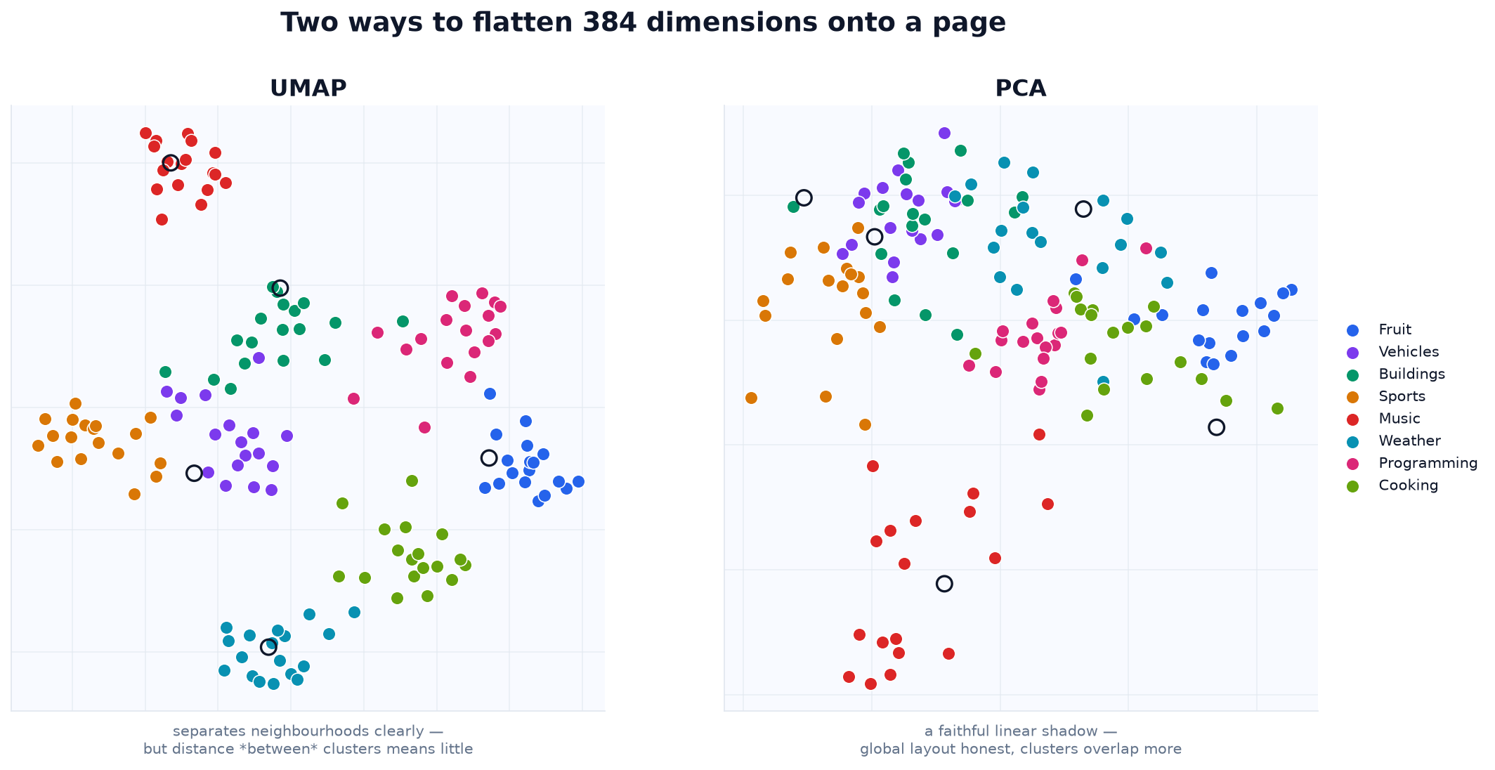 UMAP and PCA compared on the same vectors